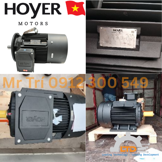 HOYER Motors HMC3 160M1-2 B5 11kW 2 Pole HOYER Việt Nam