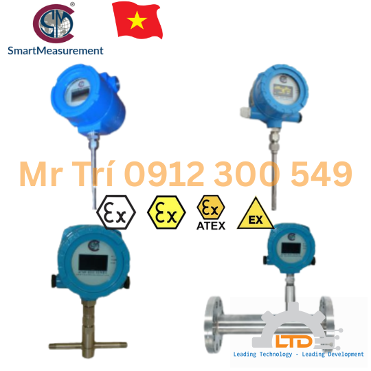 Insertion Thermal Mass Meters ATMFIS Smartmeasurement tại Việt Nam