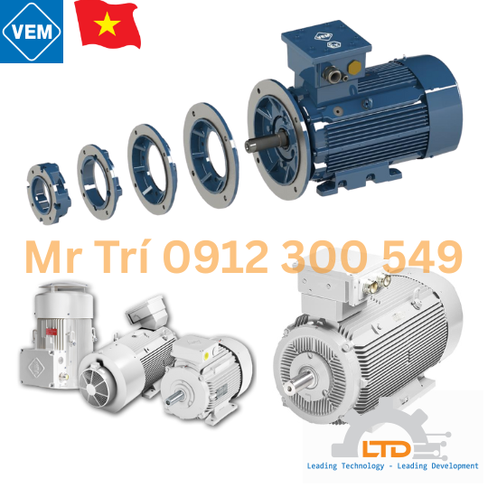MOTOR IE3  IE3-KPR 56 G2 VEM VIỆT NAM - LTĐ ĐẠI LÝ PHÂN PHỐIMOTOR IE3 VEM TẠI VIỆT NAM
