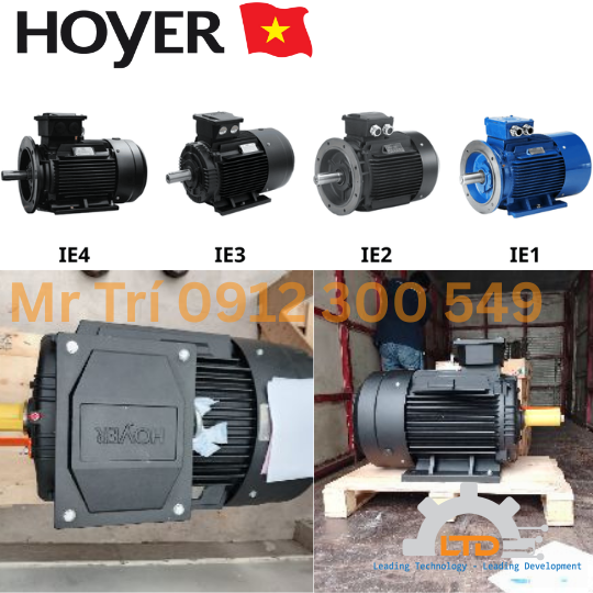 HOYER Motors HMC3 160M1-2 B5 11kW 2 Pole HOYER Việt Nam