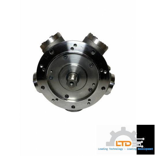 Hydraulic Motor R8M 600 H3 ITALGROUP Việt Nam