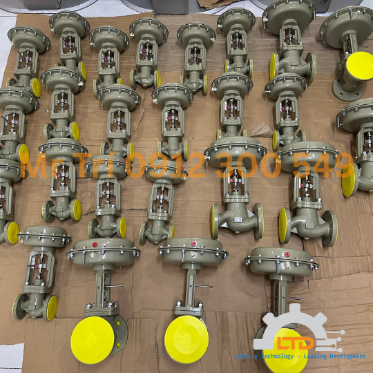 LTĐ là đơn vị phân phối Van cầu (Globe Valve) vật liệu A351Gr.CF8 thép không gỉ tại Việt Nam